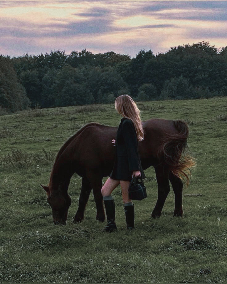 Equestrian Elegance